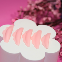 Cloud Lash Lift Pads