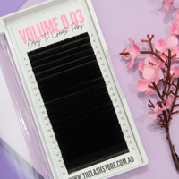 Volume 0.03 Easy Fans - Mixed