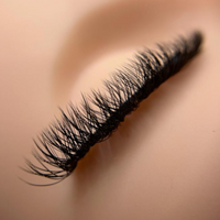 YY Wispy Premade Lash Fans