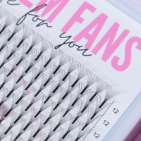 10D Long Stem Premade Lash Fans