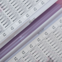 3D Premade Lash Fan Trays