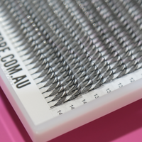 Anime Lash Trays - Mixed Lengths