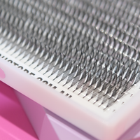 Anime Lash Trays - Mixed Lengths