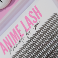 Anime Lash Trays - Mixed Lengths