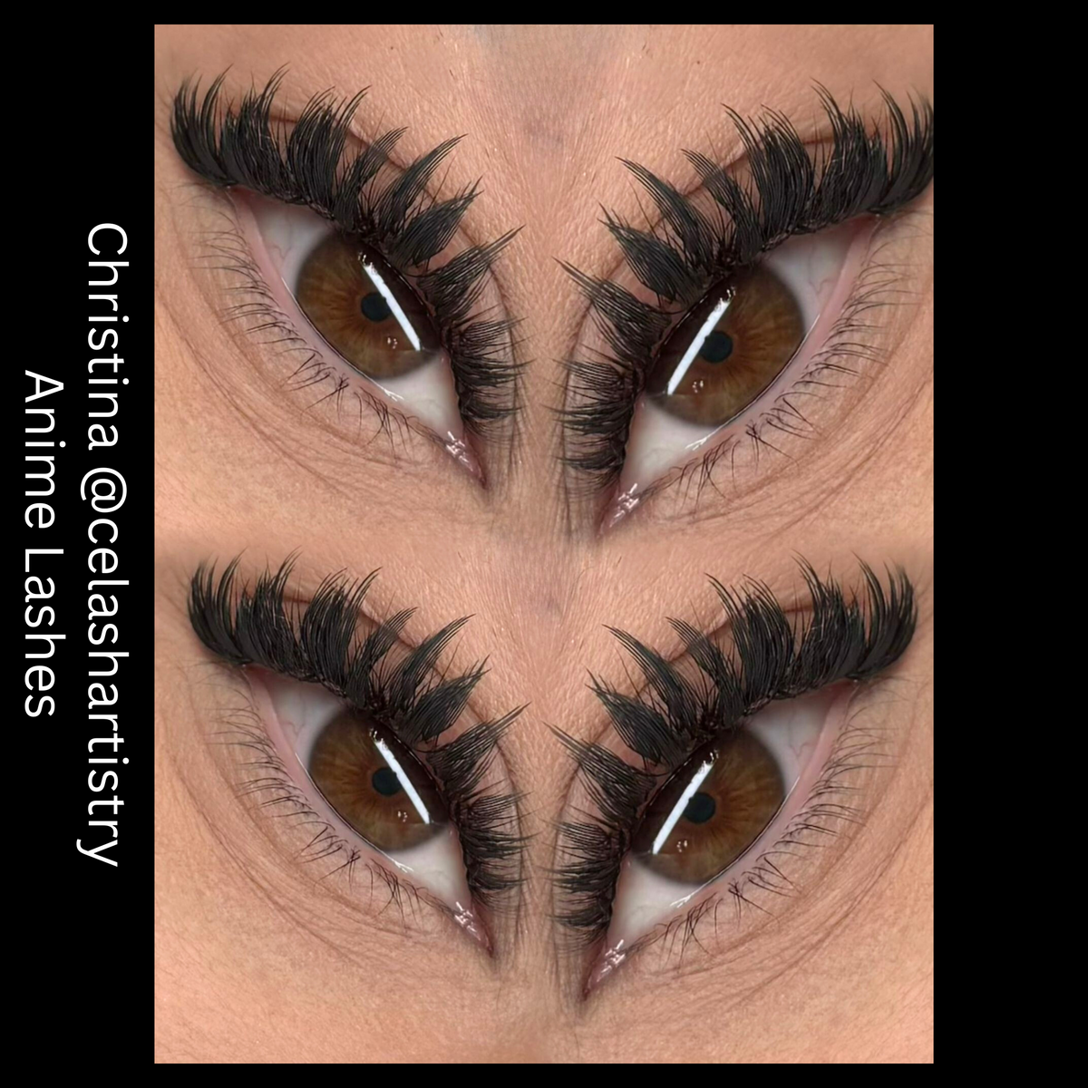 Anime Lash Trays - Mixed Lengths
