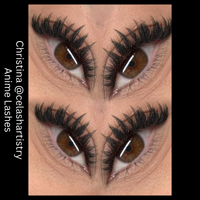 Anime Lash Trays - Mixed Lengths