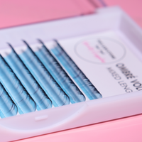 Coloured Volume 0.07 Lash Trays