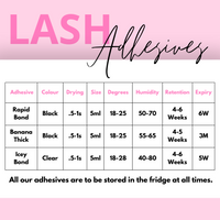 Lash Extension Liquid Essentials Bundle