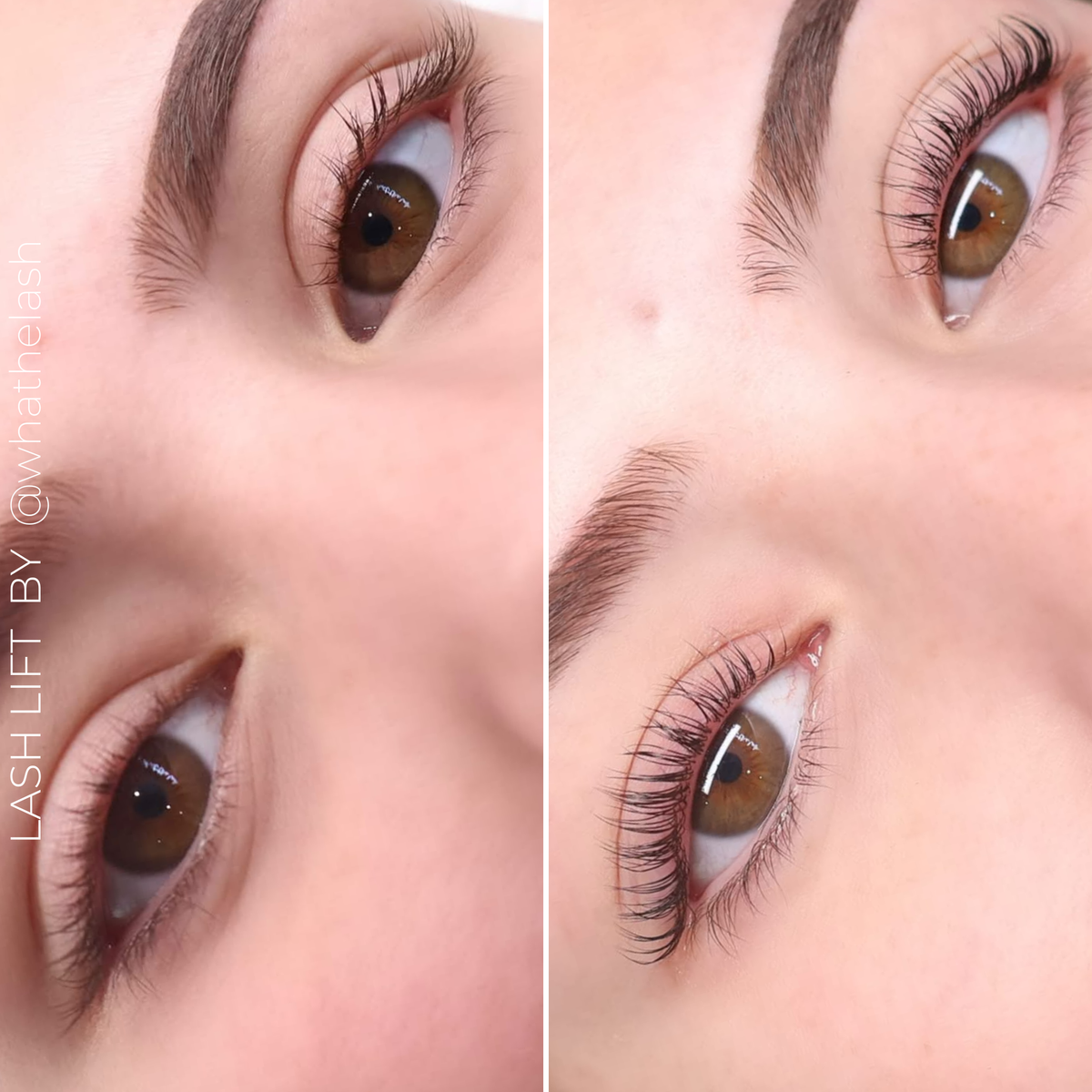 Lash and Brow Lift System - Solution TWO