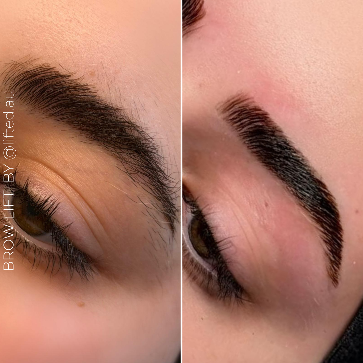 Lash and Brow Lift System - Solution TWO