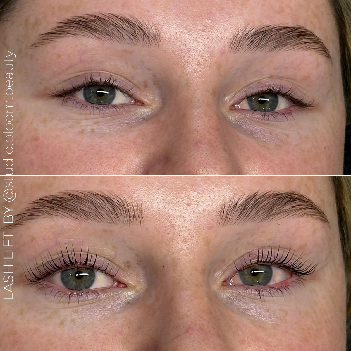 Lash and Brow Lift System - Full Kit