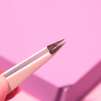 Pointy Brow Tweezers