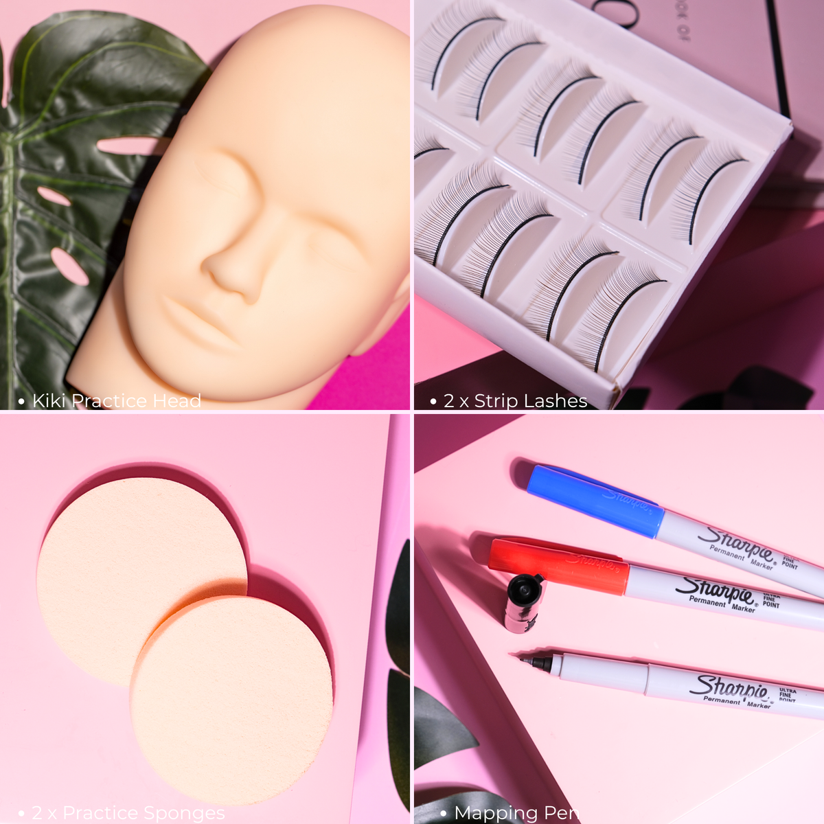 Professional Lash Extension Training Kit
