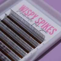 Wet Set Wispy Spikes Lash Trays