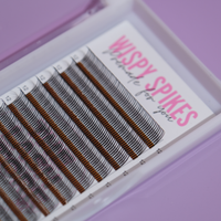 Wet Set Wispy Spikes Lash Trays