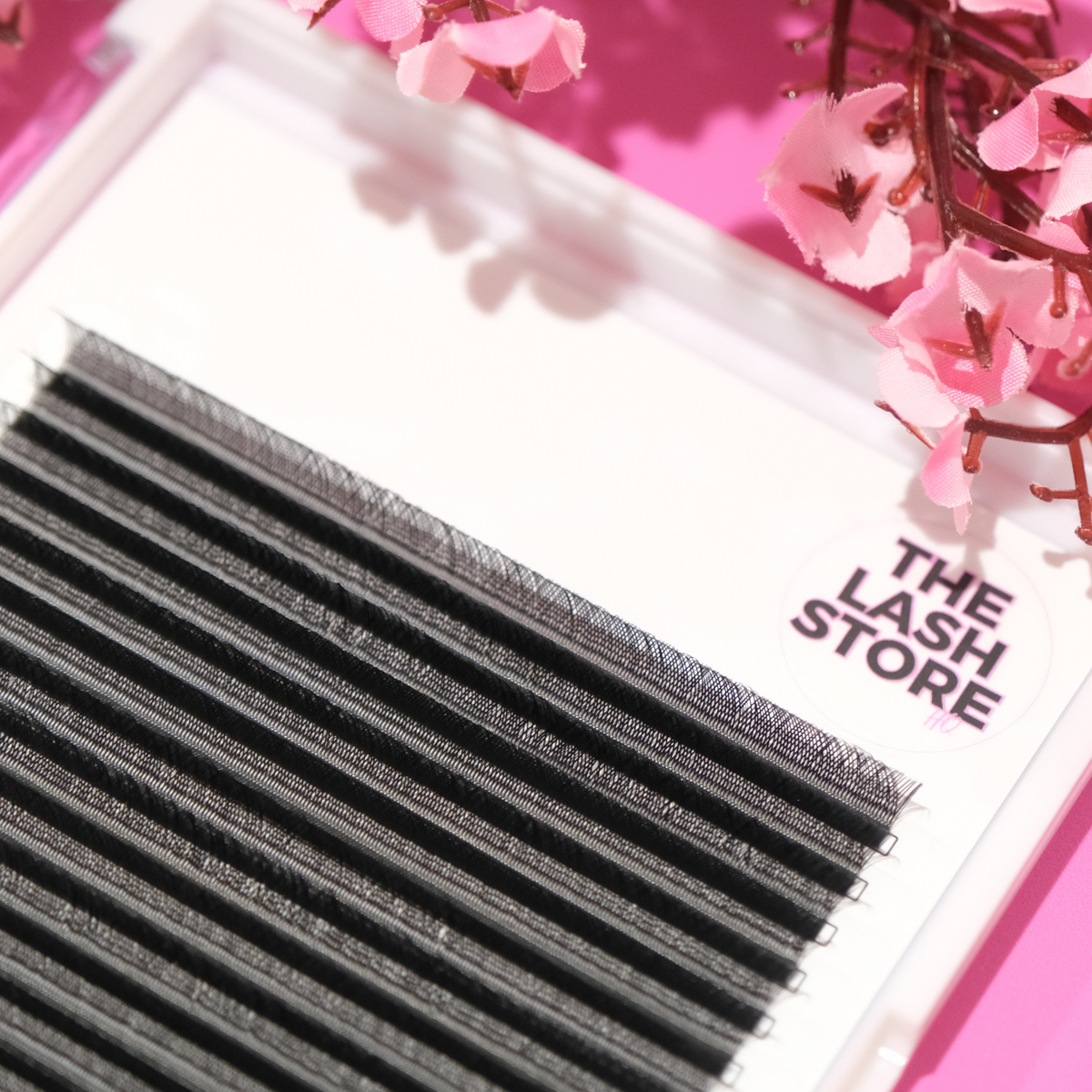 YY Wispy Lash Fans Single Sizes - Limited Stock