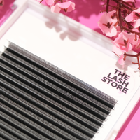 YY Wispy Lash Fans Single Sizes - Limited Stock