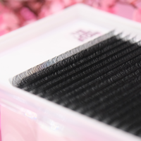 YY Wispy Lash Fans Single Sizes - Limited Stock