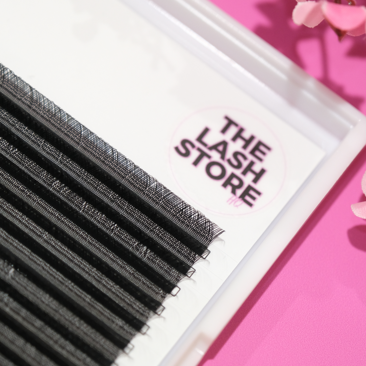 YY Wispy Lash Fans Single Sizes - Limited Stock