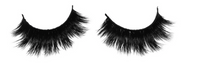 BEVERLY HILLS LASH